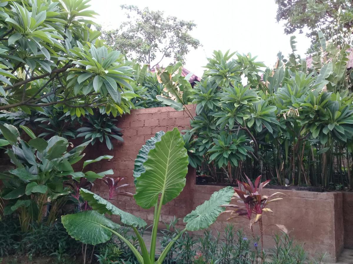 Eliska Sumberkima Pemuteran (Bali) Exterior photo